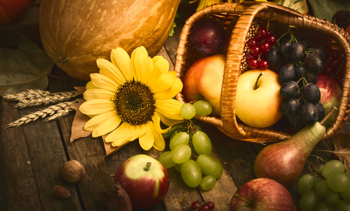 Ausgewogene Ernährung